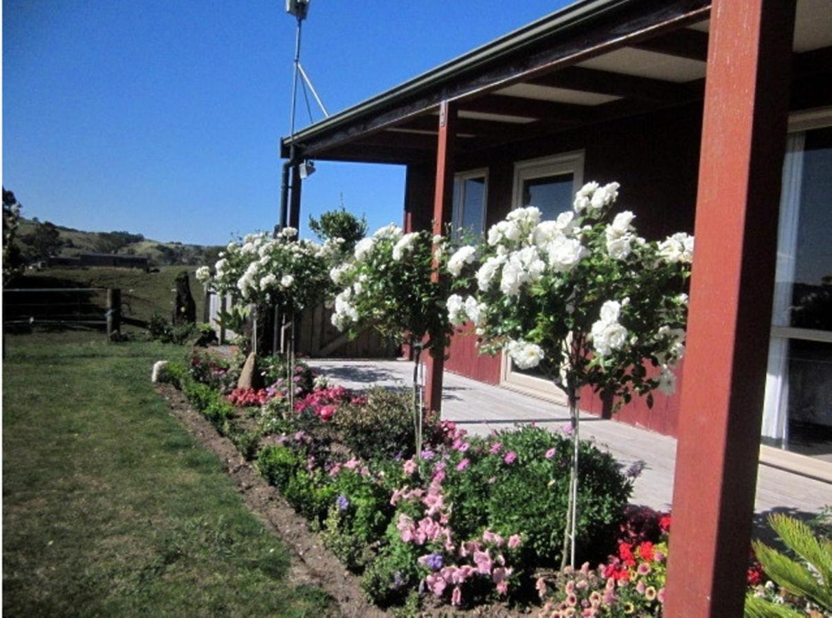 Kauri Lodge Karapiro Δωμάτιο φωτογραφία