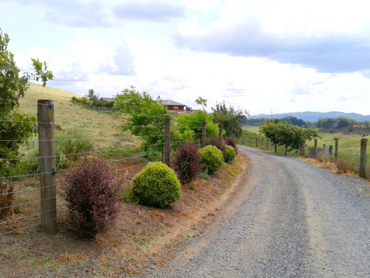 Kauri Lodge Karapiro Εξωτερικό φωτογραφία